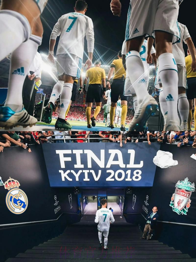 范尼:离开皇马是生涯最大错误 我总说C罗是最佳球员 范尼:离开皇马是生涯最大错误 我总说C罗是最佳球员